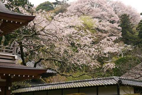 090405���һ�������