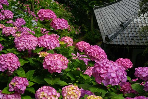 120615Ĺë����������5