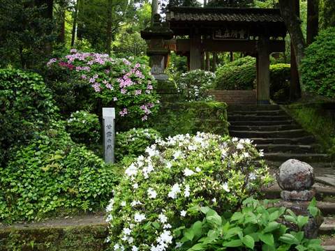 100503���һ��ĥĥ�