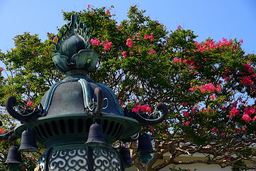 200816�ܳл����륹�٥�2