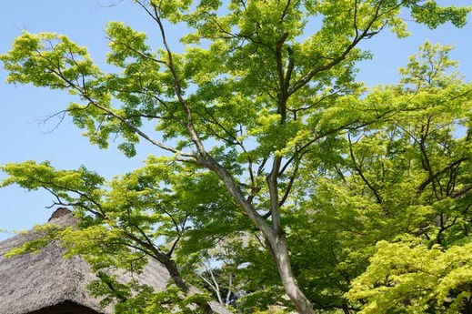 130415�߳л�����1