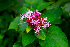 221015�繪�����ޥ��Υ�����