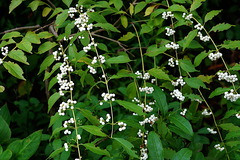 221015�繪������������