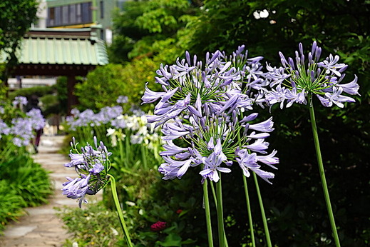 200629�繪�������ѥ󥵥�2