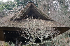 180211Åì·Ä»û¥¦¥á