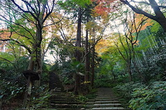 151216����������3