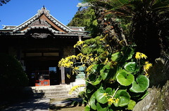 151025���ܱ��ĥ�֥���