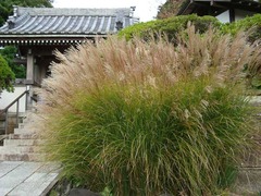 101107���ܱ�������