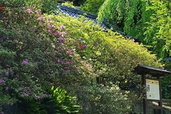 150423�¹������ĥĥ�2