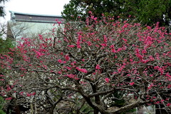 150315�߳л�����2