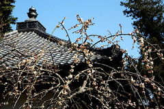 180313¾ôÃÒ»û¥¦¥á