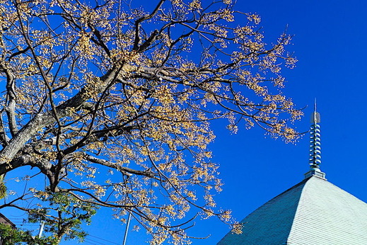 171206�ܳл��������