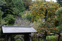 081109���һ�����