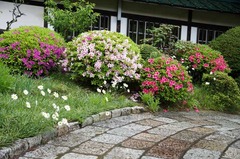 110507ζ�����ĥĥ�