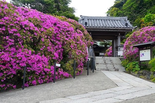 150505���ܱ��ĥĥ�1