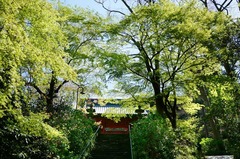 130404̯ËÜ»û¿·ÎÐ