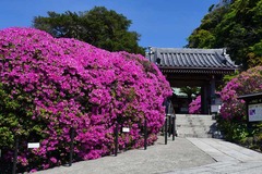 140511���ܱ��ĥĥ�1