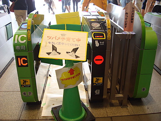 170622���ұ�