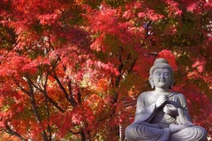 101215Ĺë������