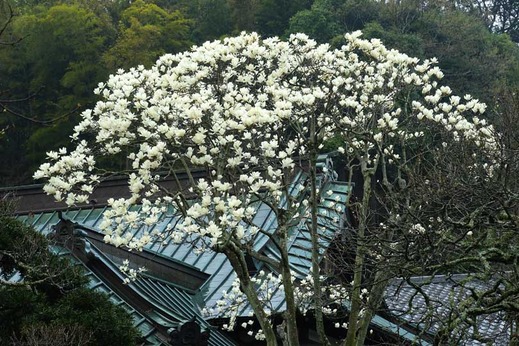 140327��Ļ��ϥ��⥯���