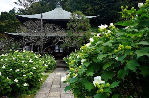 191007�������ե襦