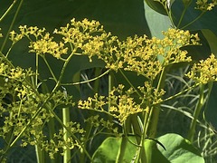 230723�繪�����ߥʥ���