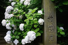 150617�߳л���������3