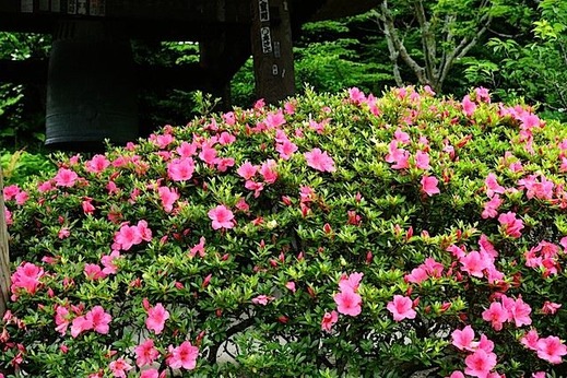 150524��Ļ����ĥ�2