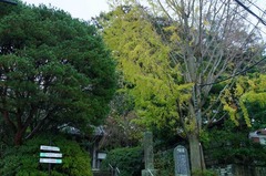 111119�¹����������祦