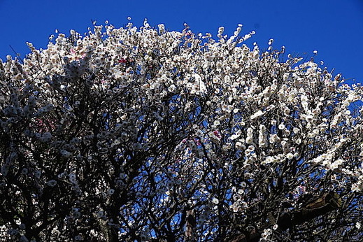 150311����������1