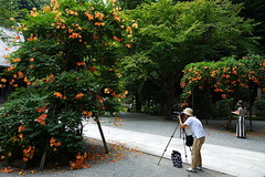 170717̯�ܻ��Υ����󥫥���2