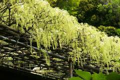 100504�Ѿ����ե�