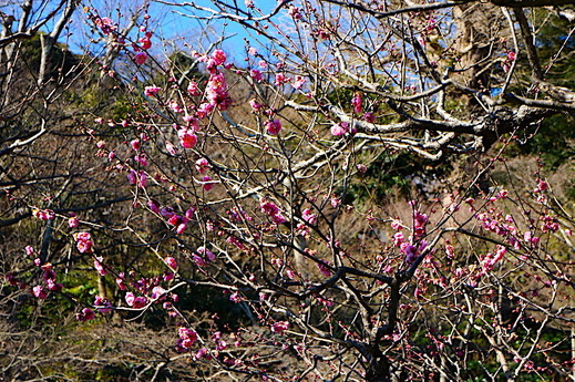 230129Ĺë������5