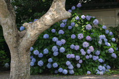 080713�Ѿ�����������