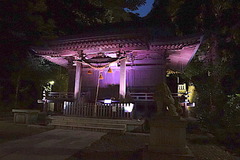 170823´ÅÆì¿ÀÌÀ¿À¼ÒĹë¤ÎÅô¤«¤ê2