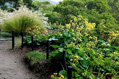 141112���ܱ��ĥ�֥�1