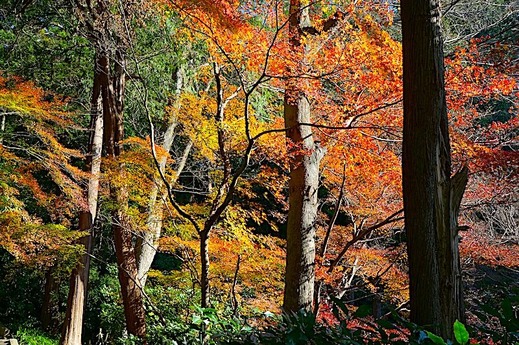 231220̯�ܻ�����2