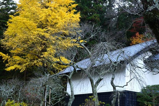 131211��Ļ�����