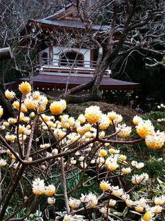 090314���һ��ߥĥޥ�