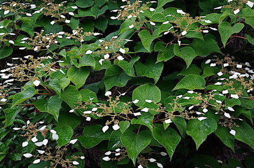 170618�繪�����塞���