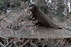 110115��Ļ�����