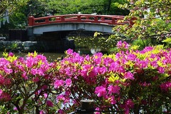 150426��ʿ�ӥĥĥ�