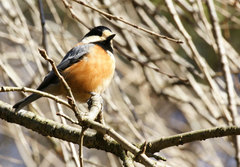 090111�����ޥ���