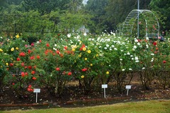 131020�ե����󥿡�2