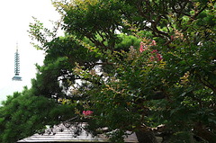 160725�ܳл����륹�٥�