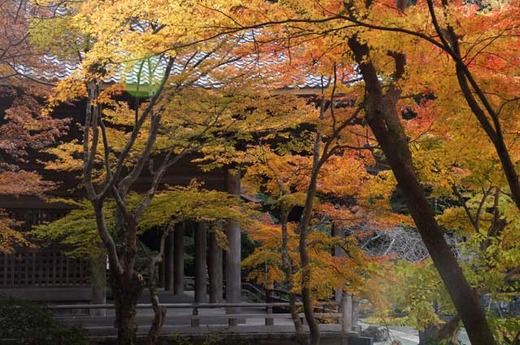 111220̯�ܻ�����1