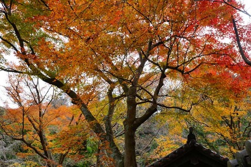 121221����������2