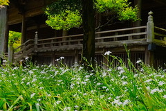 150420̯�ܻ����㥬1