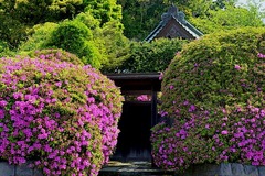 150501���ܱ��ĥĥ�2