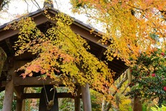 121221����������3